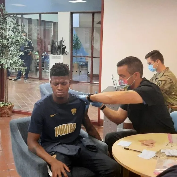 Elementos Felinos recibieron la vacuna