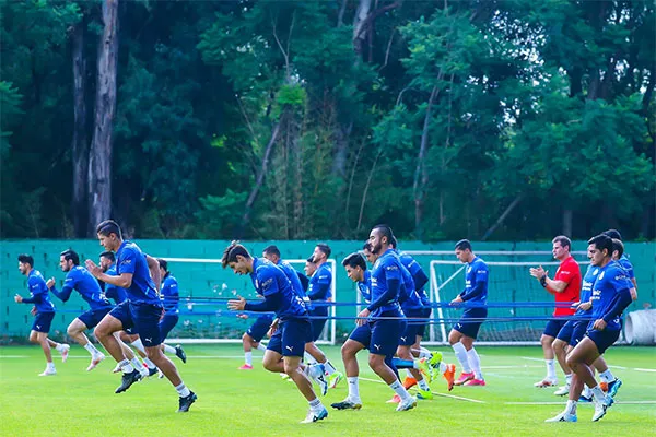 Parte del trabajo físico en el Rebaño