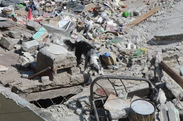 EFE Viviendas en en la colonia Pensil Norte tras explosión