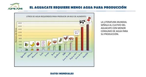El aguacate requiere menos agua