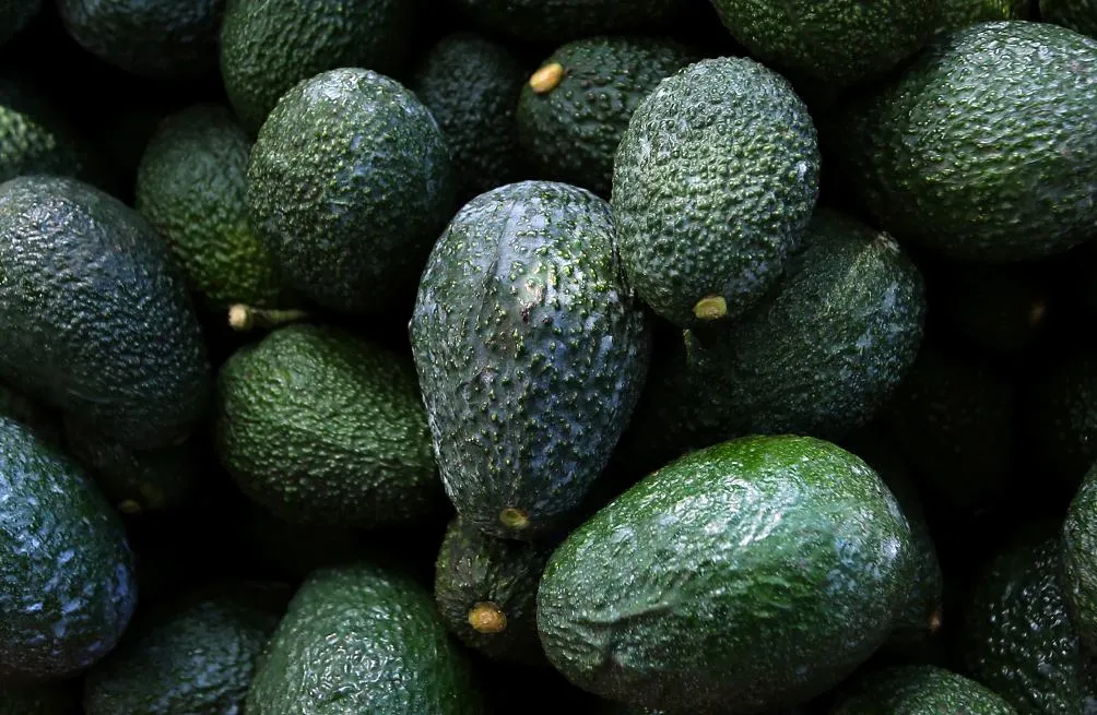 AP La demanda por aguacate implicó una amenaza