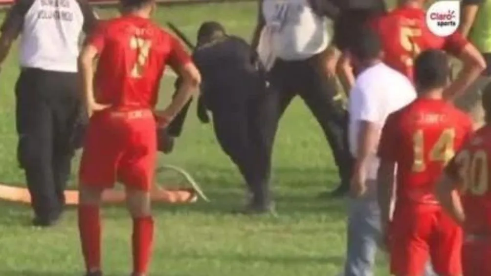 Intento por retirar al reptil