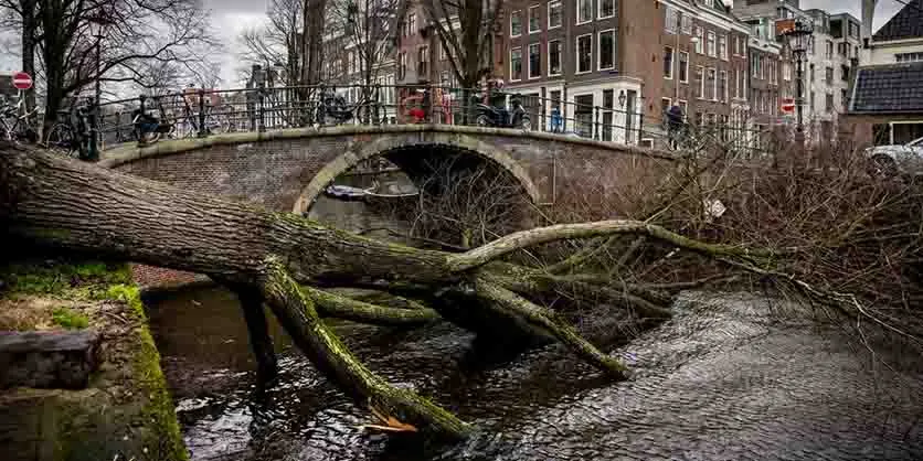 Consecuencias de la tormente Eunice