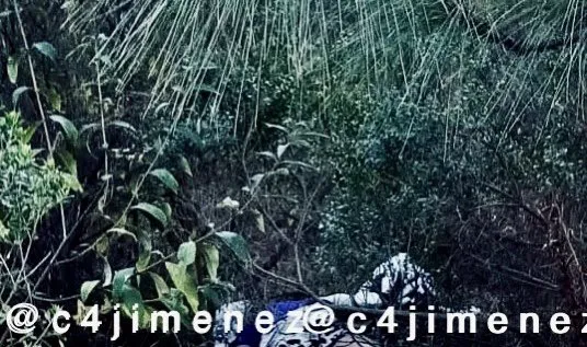 Supuesto cuerpo de la víctima