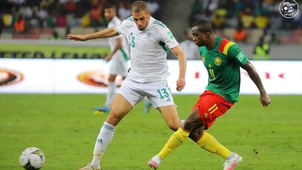 Camerún no encontró la forma de hacer daño