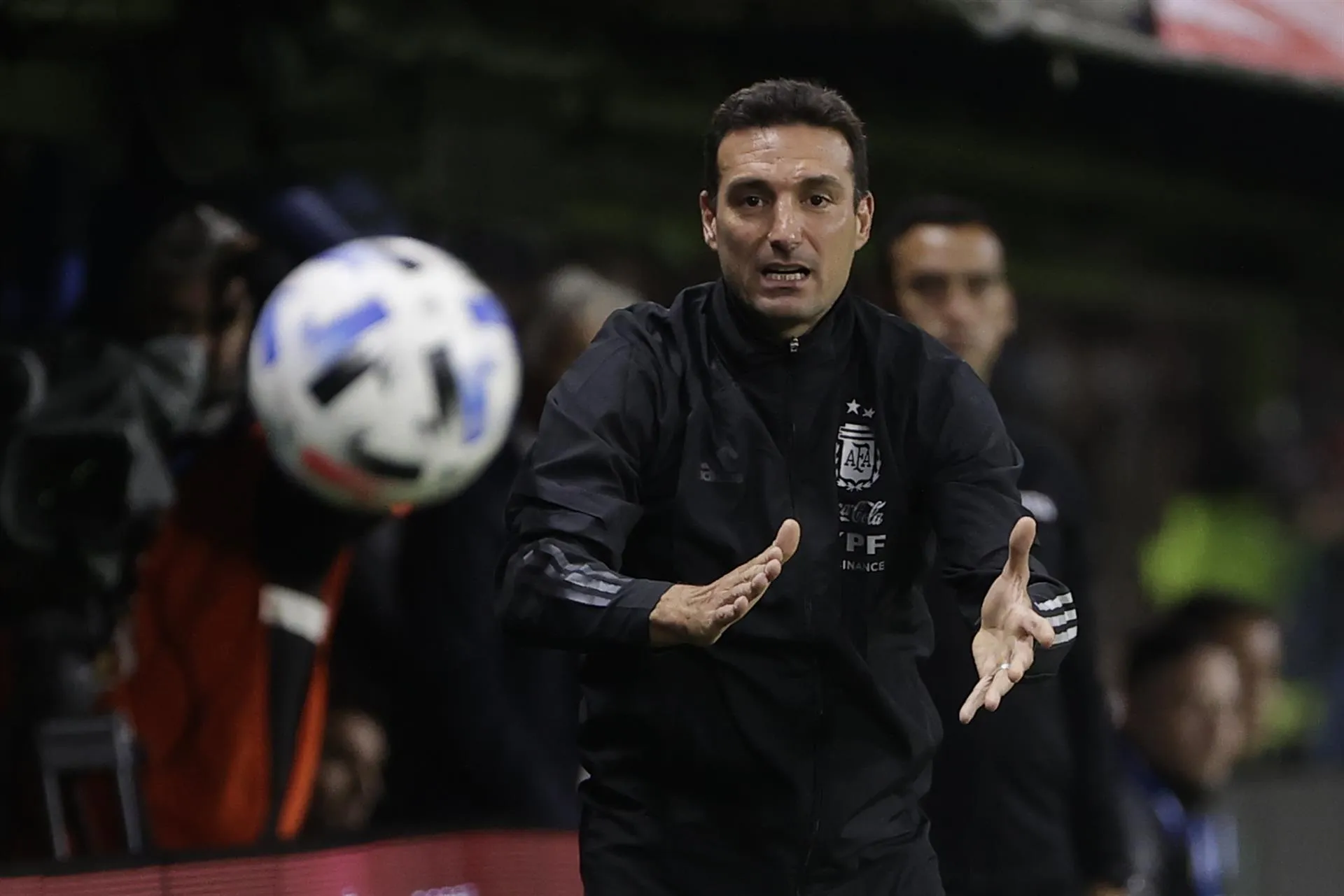 Lionel Scaloni, seleccionador de Argentina