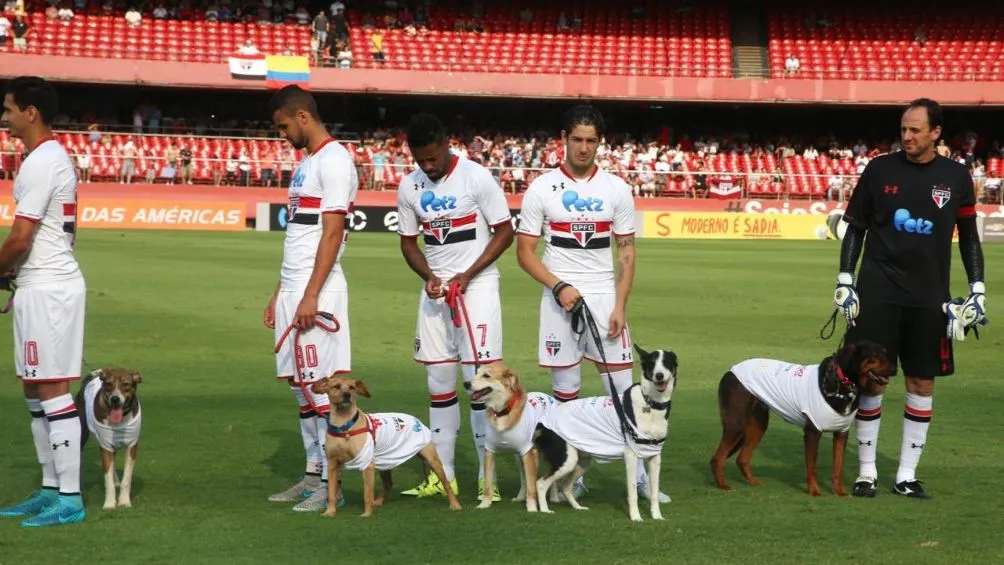 Sao Paulo perdió el Campeonato Paulista con Palmeiras