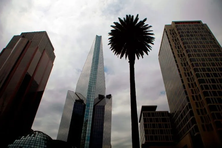 ESPECIAL Panorámica de la icónica palma de la CDMX