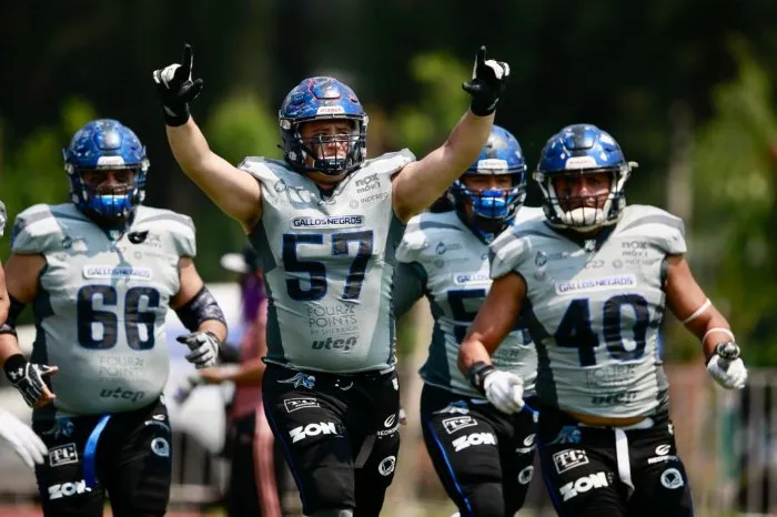 Acción en la semana de comodines de la Liga de Futbol Americano Profesional