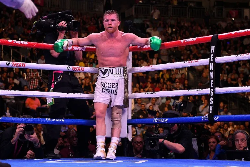 Canelo durante una pelea