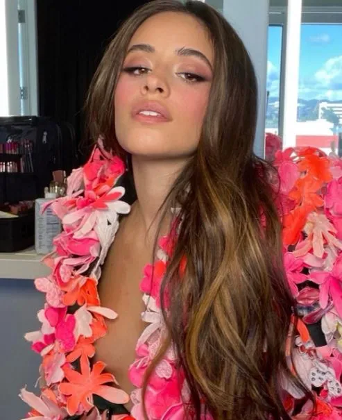 Camila Cabello comparte una imagen en redes
