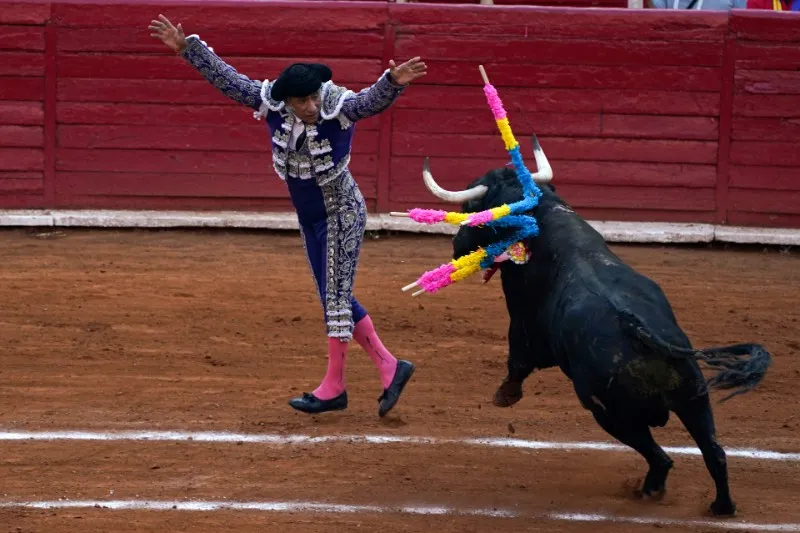 Un torero clava dos &quot;banderillas&quot; a un toro en la Plaza de Toros