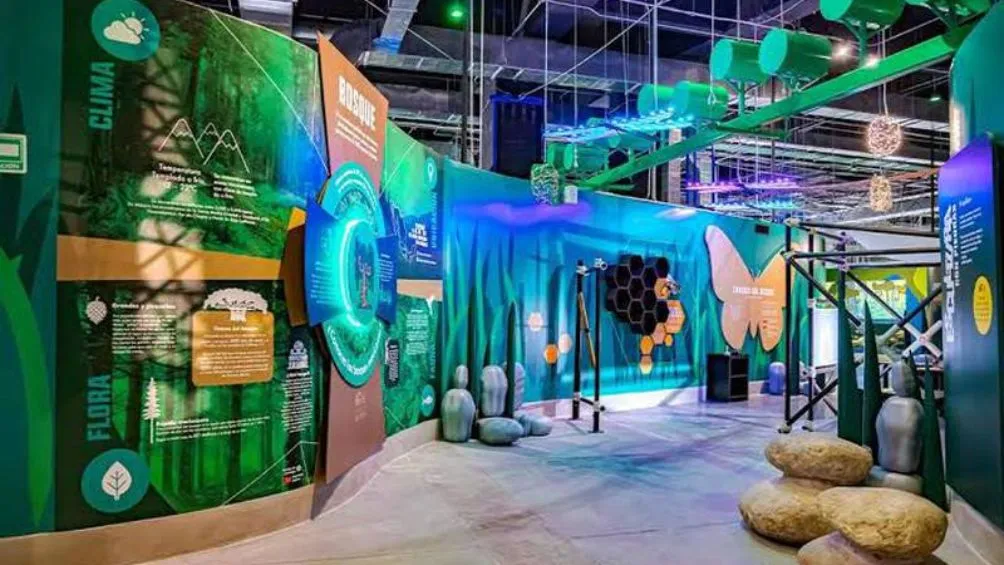 El acuario tendrá una medición de 30 mil metros cuadrados