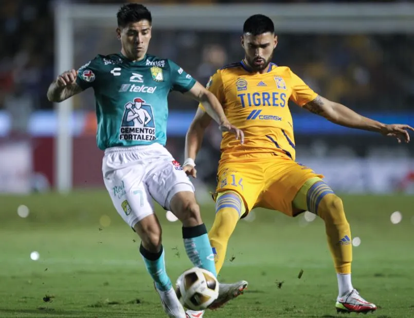 Purata en acción con los felinos