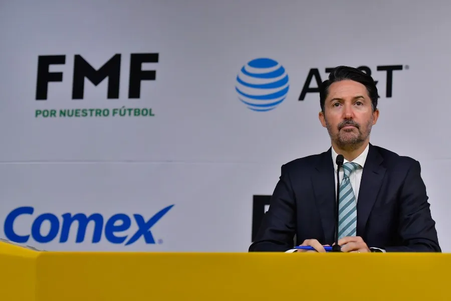 Yon de Luisa, Presidente de la FMF