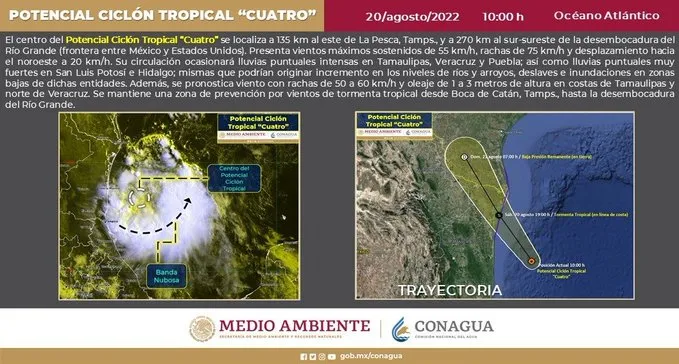 Información de Danielle