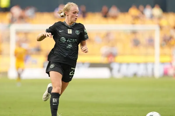 Sería refuerzo en el mercado invernal