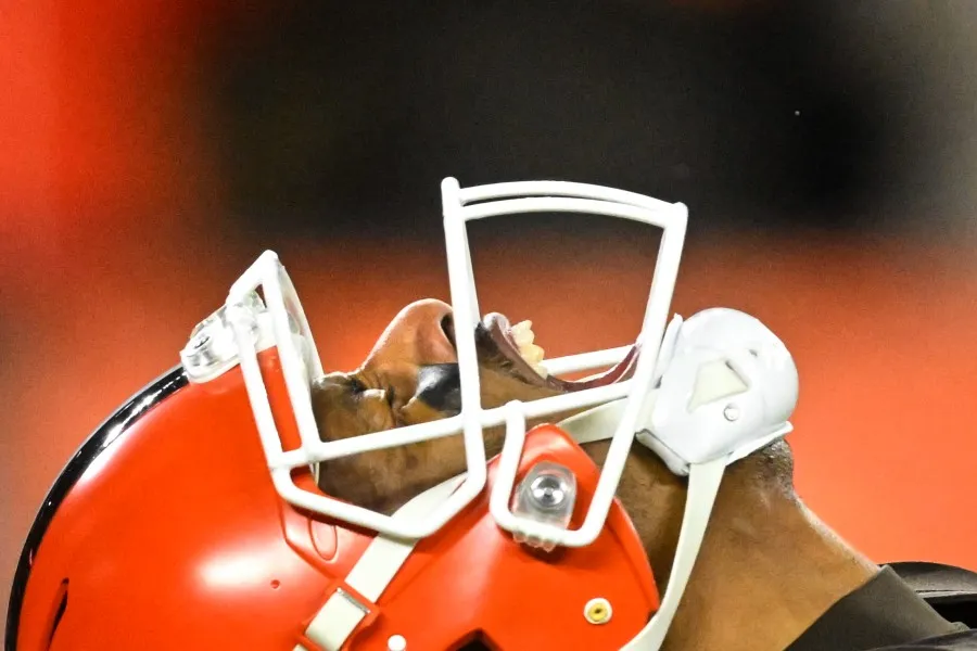 Deshaun Watson lanzó un pase de touchdown