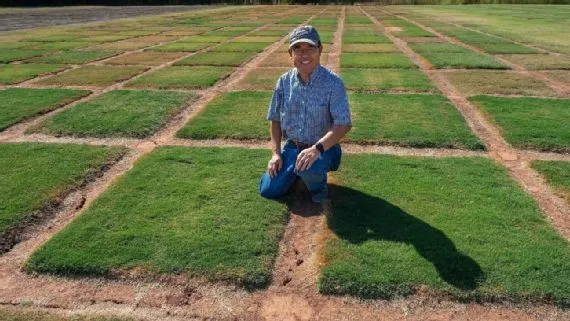 El proceso comenzó desde el 2006