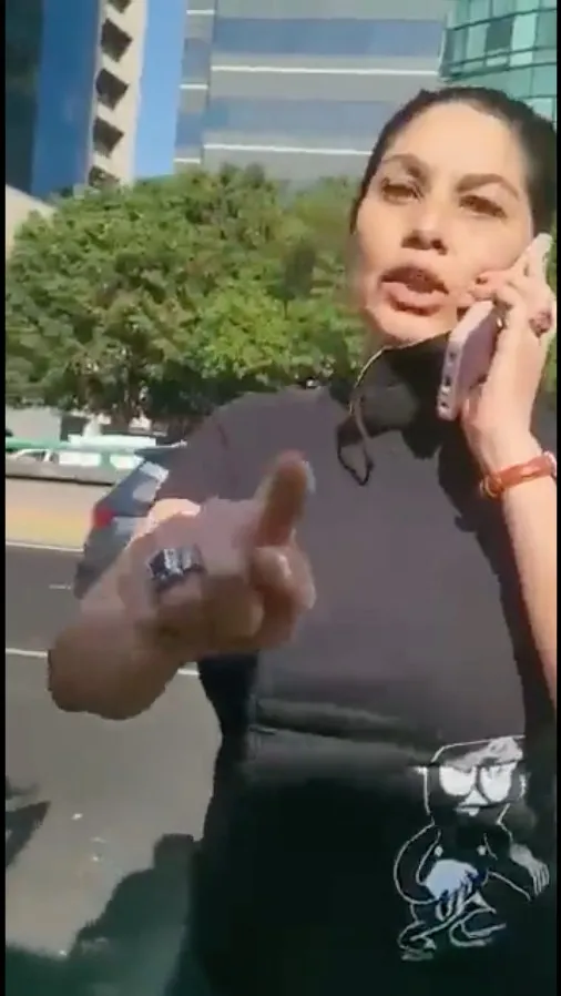 La &quot;influyente&quot; previo al momento de golpear a un miembro de la Policia