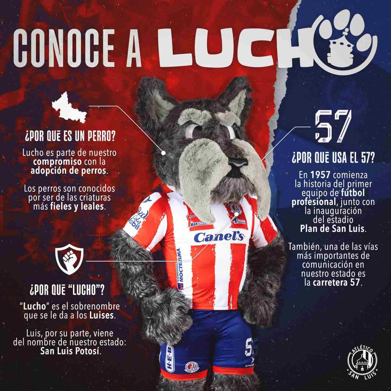 Toda la información de la nueva mascota