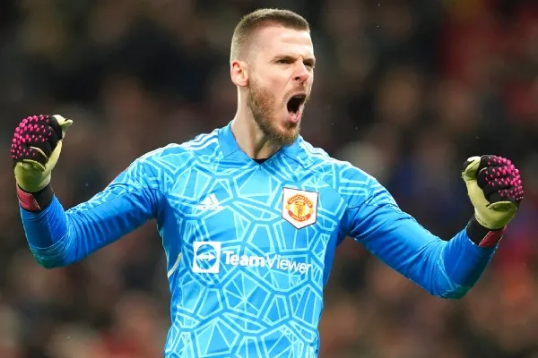 Han vuelto a la competencia