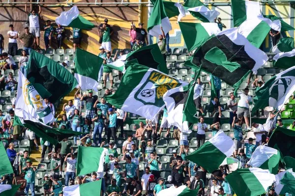 MEXSPORT FAN ID se obtiene en línea