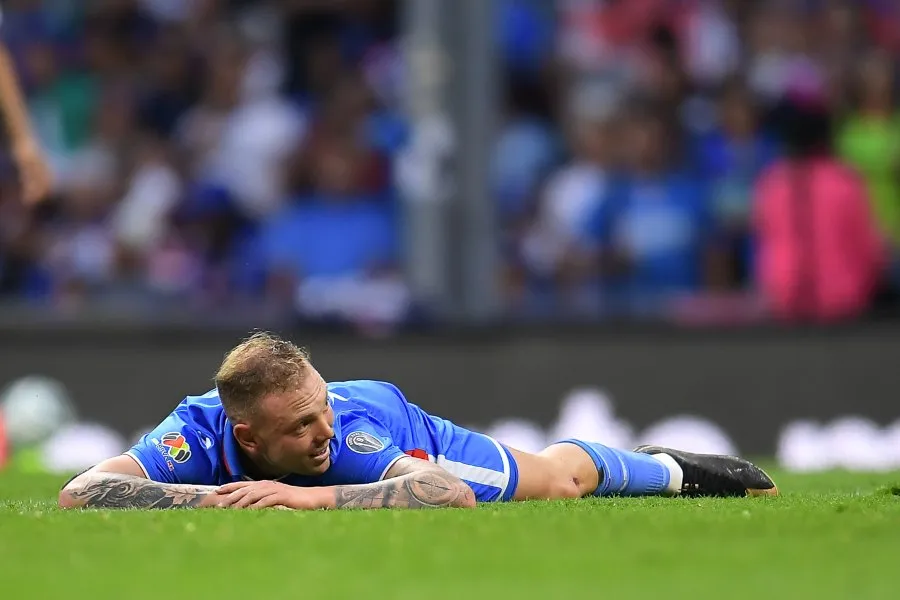 Rotondi tirado en el césped