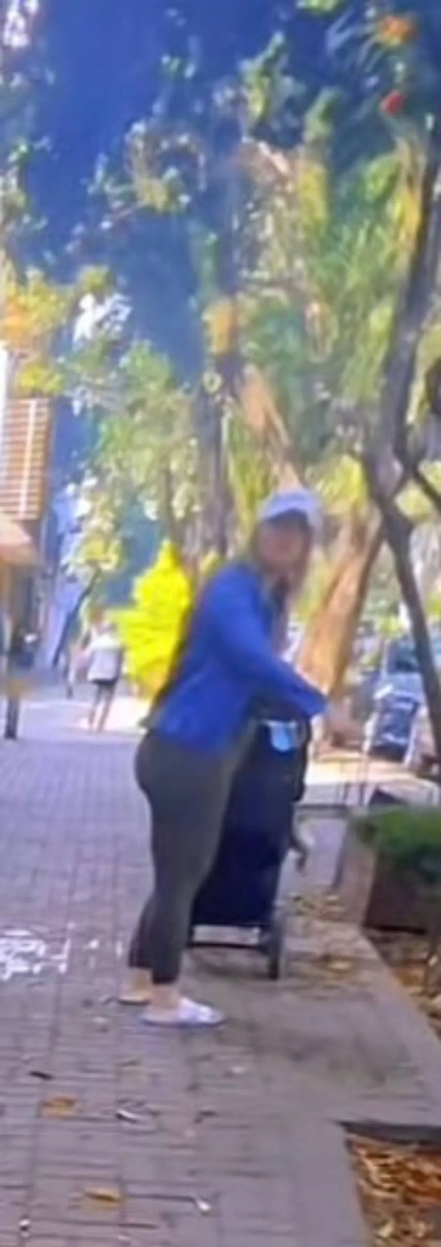 Extranjera paseando a su perro