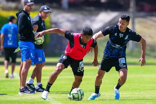 Los Gallos Blancos intensifican las acciones previas