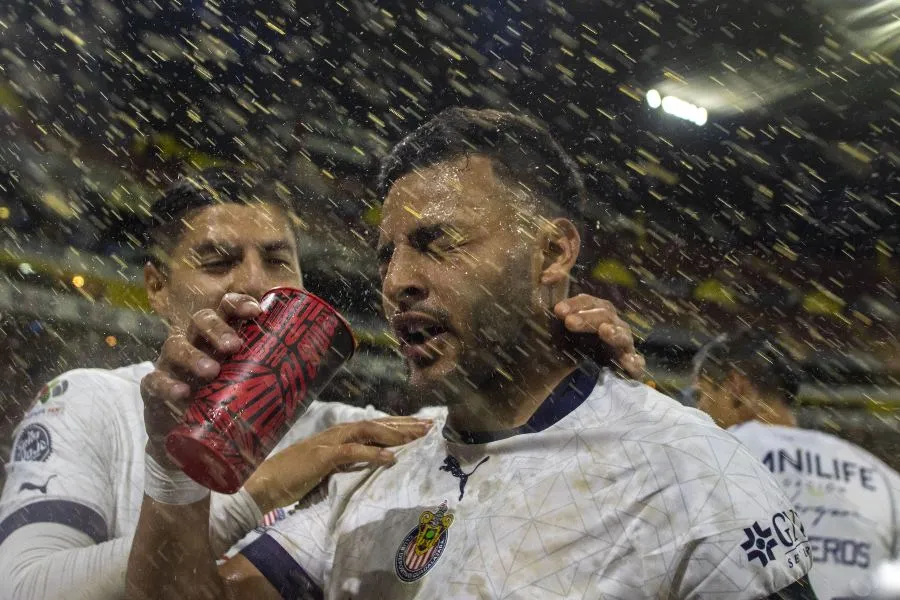 Vega mojado por cerveza