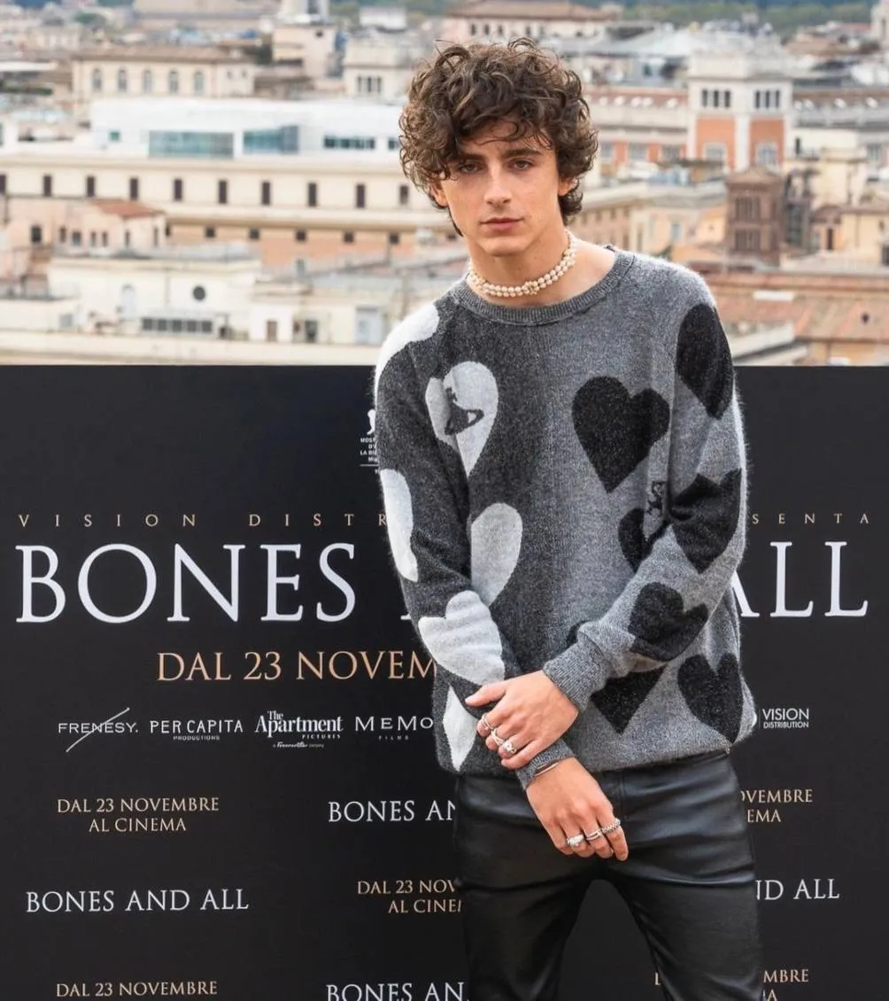 Timothée Chamelet es un actor muy reconocido en la actualidad