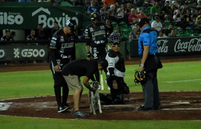 ESPECIAL Perrito durante el partido entre Leones y Guerreros