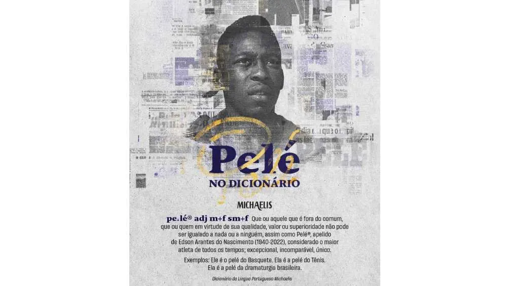 El Diccionario Michaelis aceptó la palabra