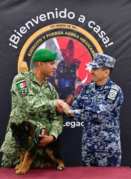 Twitter @SEDENAmx Turquía donó un perro rescatista tras el deceso de Proteo