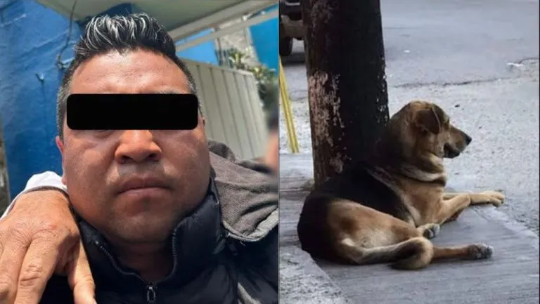 Twitter @FiscaliaEdomex/CAPTURA Sergio 'N' fue capturado por las autoridades