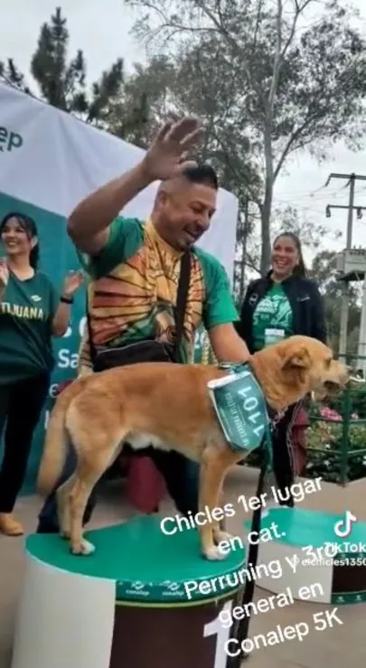 Perrito corredor gana maratón de 5 kilómetros