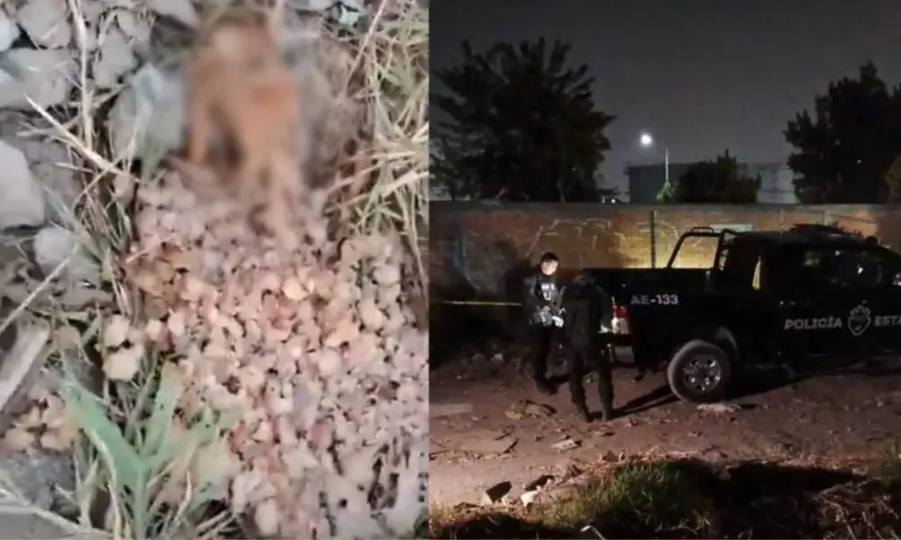 Integrantes del colectivo Madres Buscadoras de Jalisco hicieron un live en Facebook