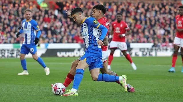 Buonanotte jugando con el Brighton &amp; Hove Albion