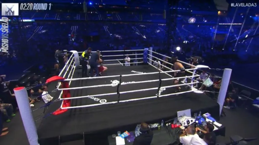 CAPTURA DE PANTALLA: TWITTER Misho no resistió tras dar su primer golpe