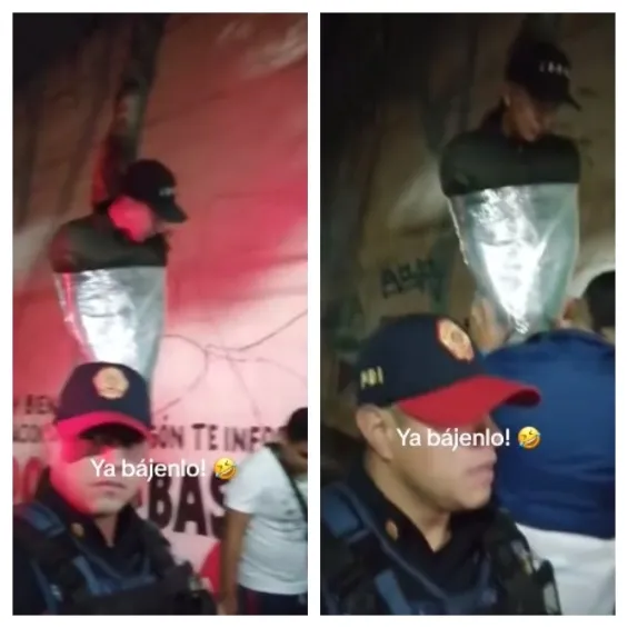 Joven emplayado en un árbol