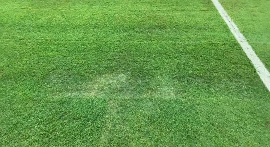 Césped del AT&amp;T Stadium