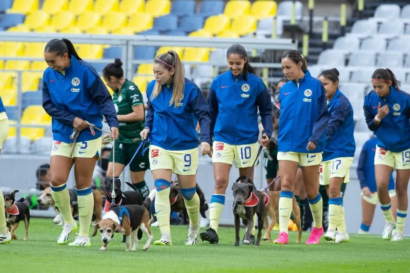 América Femenil promoviendo la adopción