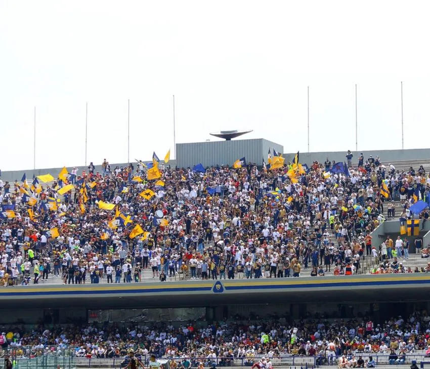 Aficionados de Pumas