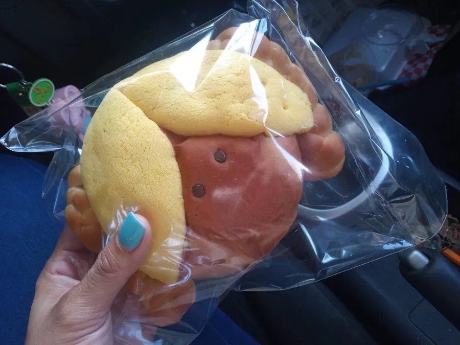 FACEBOOK: La Mexicanita Así luce la 'Wendy Concha'.