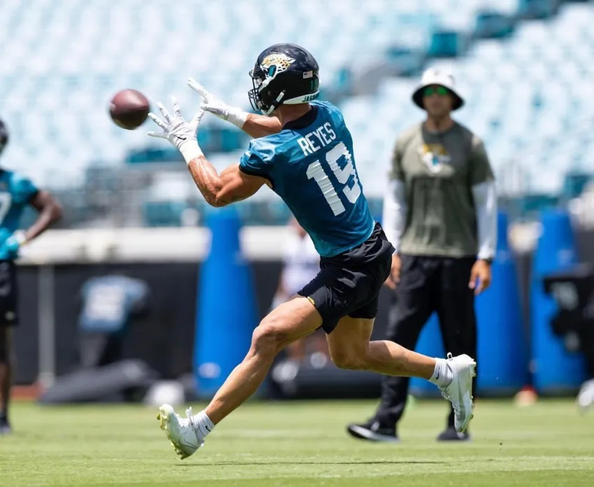 El ala cerrada chileno