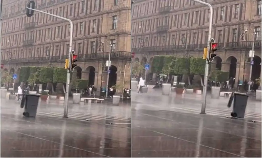 Un video captó el curioso momento del bote de basura