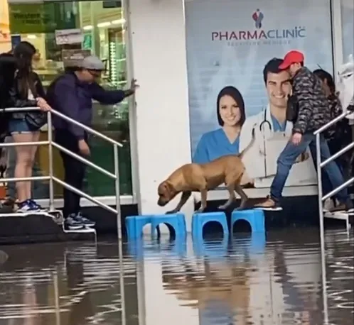 Inundaciones en la CDMX