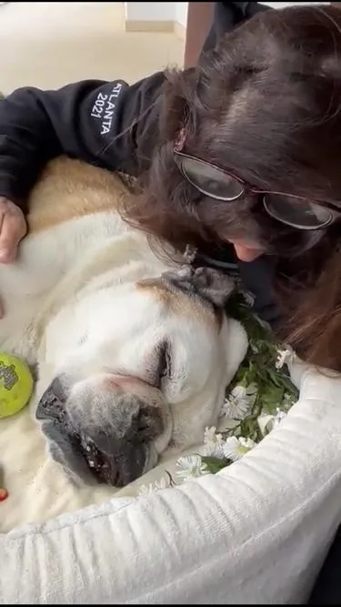 Fiona se despidió de este mundo