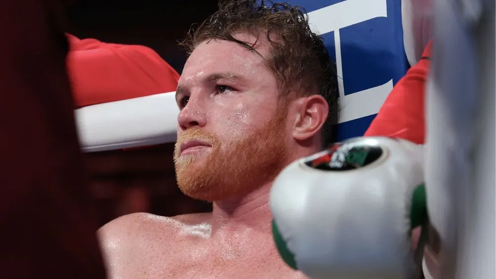 MEXSPORT Canelo no ha respondido